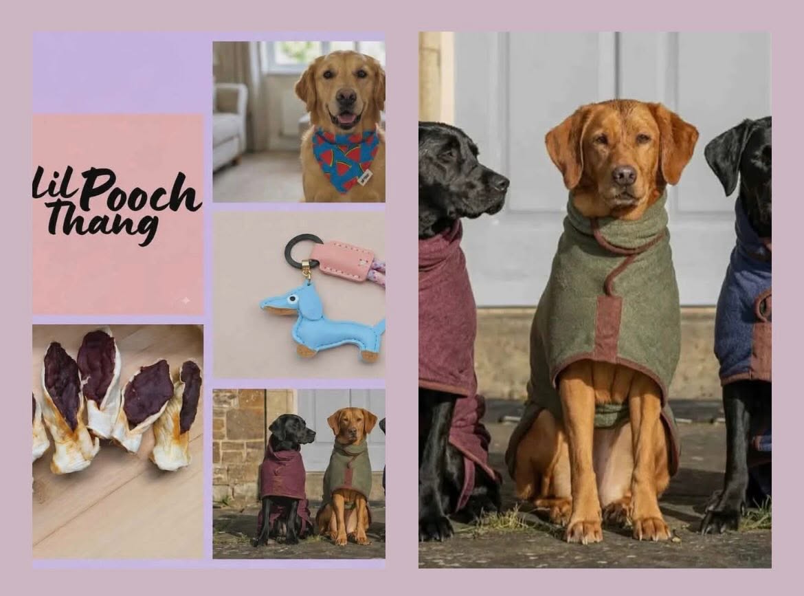 Powys Pooches In The Park August 23rd 2026
