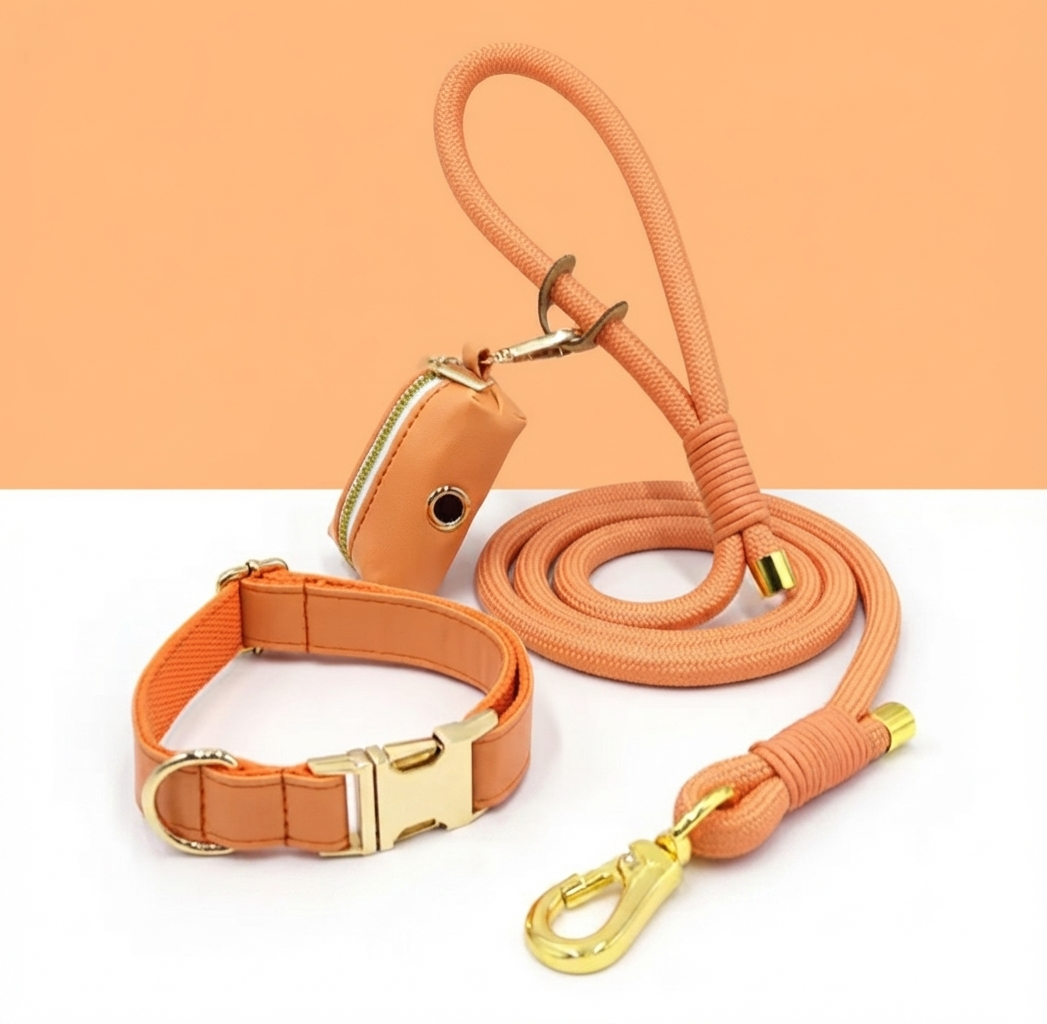 The Jet Set Collection: Vegan Leather Dog Collar, Lead & Poop Bag Holder Set
