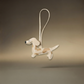 Golden Dapple Dachshund