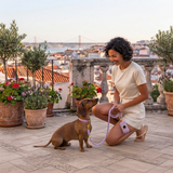The Jet Set Collection: Vegan Leather Dog Collar, Lead & Poop Bag Holder Set