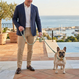 The Jet Set Collection: Vegan Leather Dog Collar, Lead & Poop Bag Holder Set