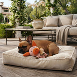 Dog Plush Animal Toys