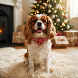 The Jingle Bows Series: Christmas Dog Collar and Bow Tie/Flower Sets