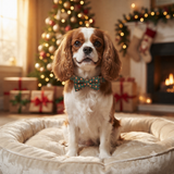 The Jingle Bows Series: Christmas Dog Collar and Bow Tie/Flower Sets