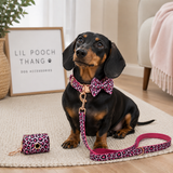 The Wild Thang - Dog Collar, Lead, Bow Tie, & Bag Holder Set