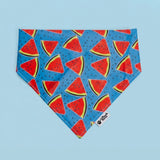The Ultimate Summer Dog Bandana