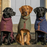 The Expedition Series: Luxury Microfibre Dog Drying Robes