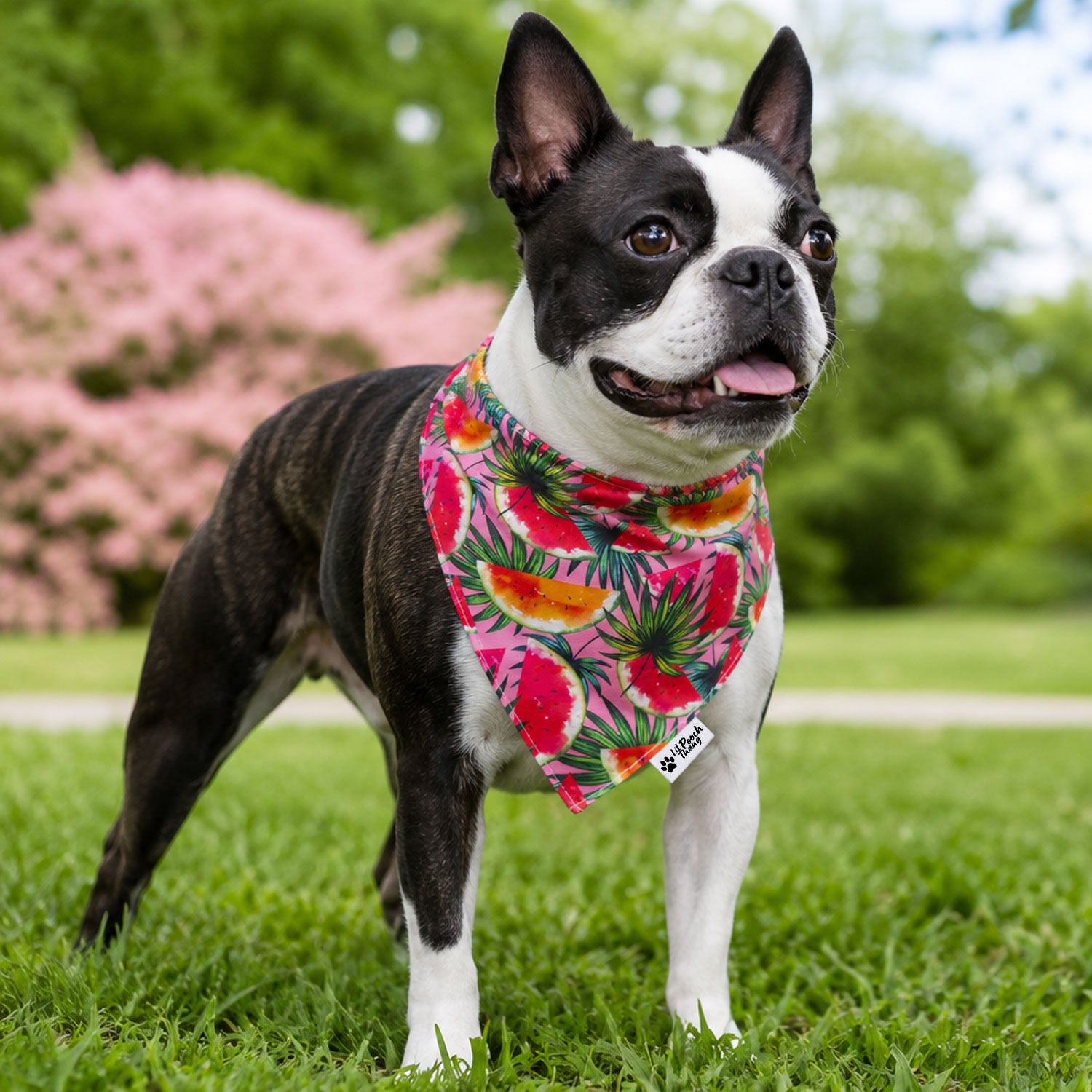 The Ultimate Summer Dog Bandana