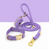 The Jet Set Collection: Vegan Leather Dog Collar, Lead & Poop Bag Holder Set