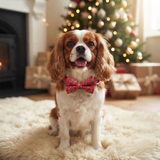 The Jingle Bows Series: Christmas Dog Collar and Bow Tie Sets