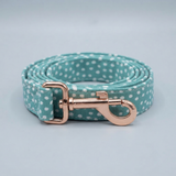 The Polka Pooch: Dog Collar, Bow Tie, Lead and Poop Bag Holder Set