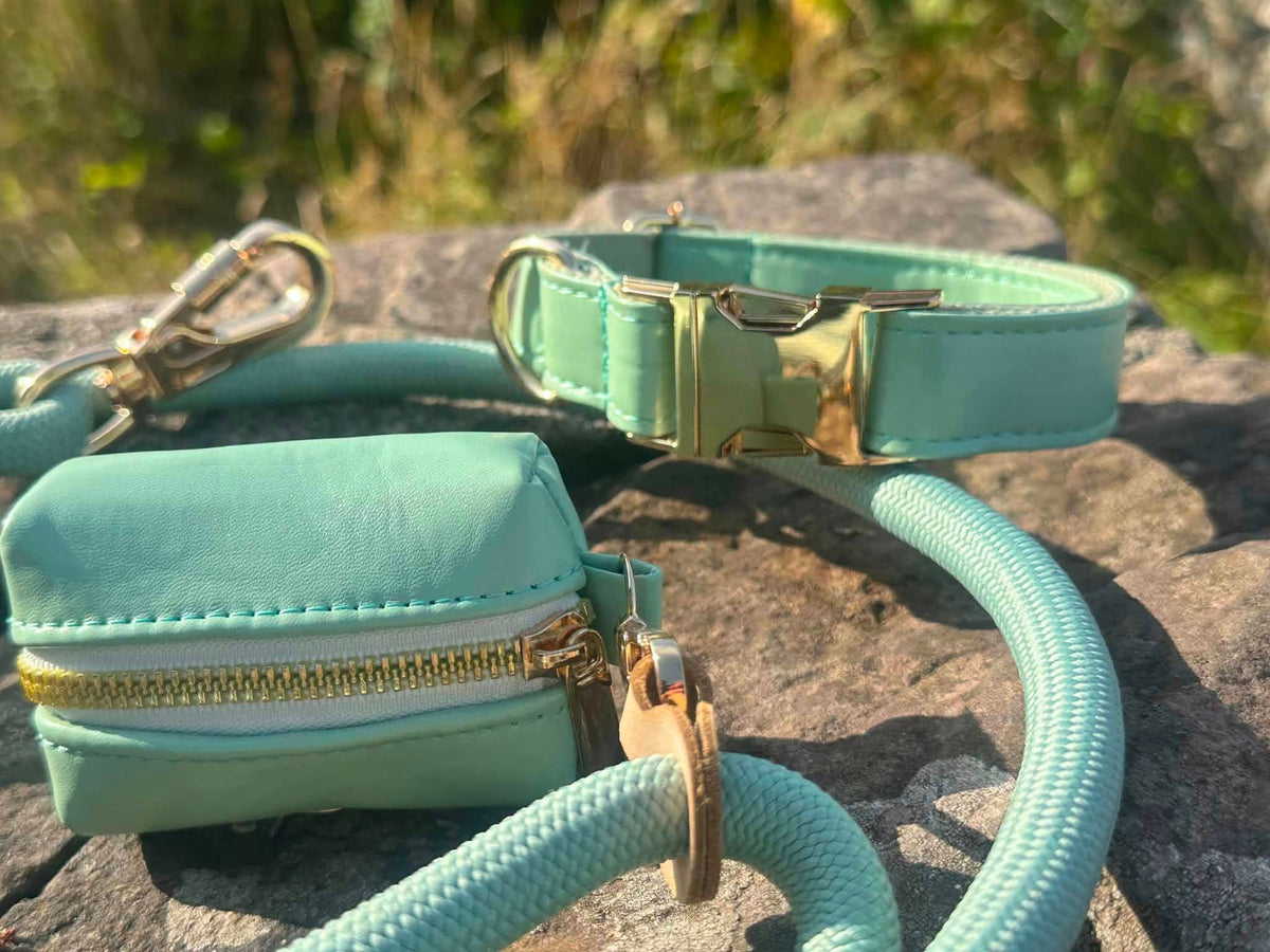 The Jet Set Collection: Dog Collar, Lead & Poop Bag Holder Set