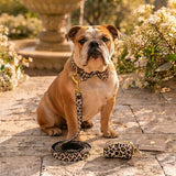 The Wild Thang - Dog Collar, Lead, Bow Tie, & Bag Holder Set