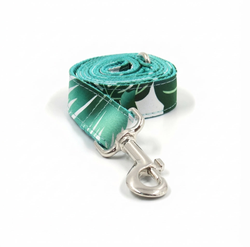 The Paradise Pooch: Dog Collar, Bow Tie and Lead Set