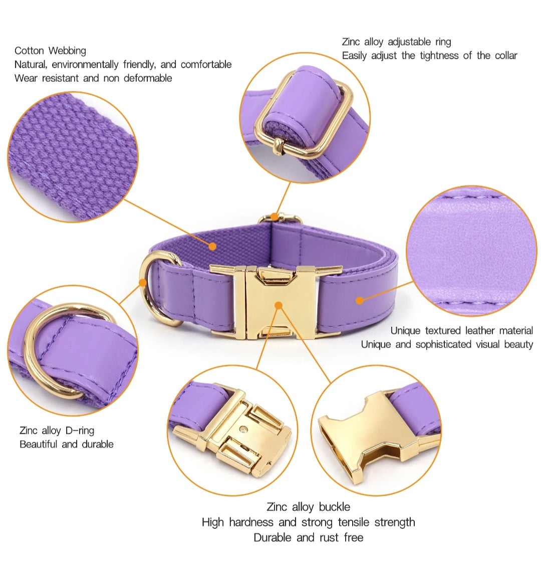 The Jet Set Collection: Vegan Leather Dog Collar, Lead & Poop Bag Holder Set