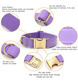 The Jet Set Collection: Vegan Leather Dog Collar, Lead & Poop Bag Holder Set