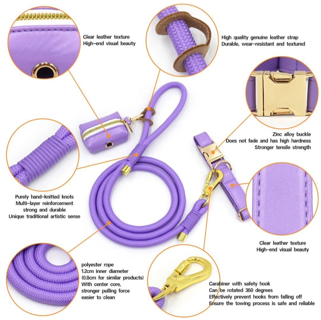 The Jet Set Collection: Vegan Leather Dog Collar, Lead & Poop Bag Holder Set