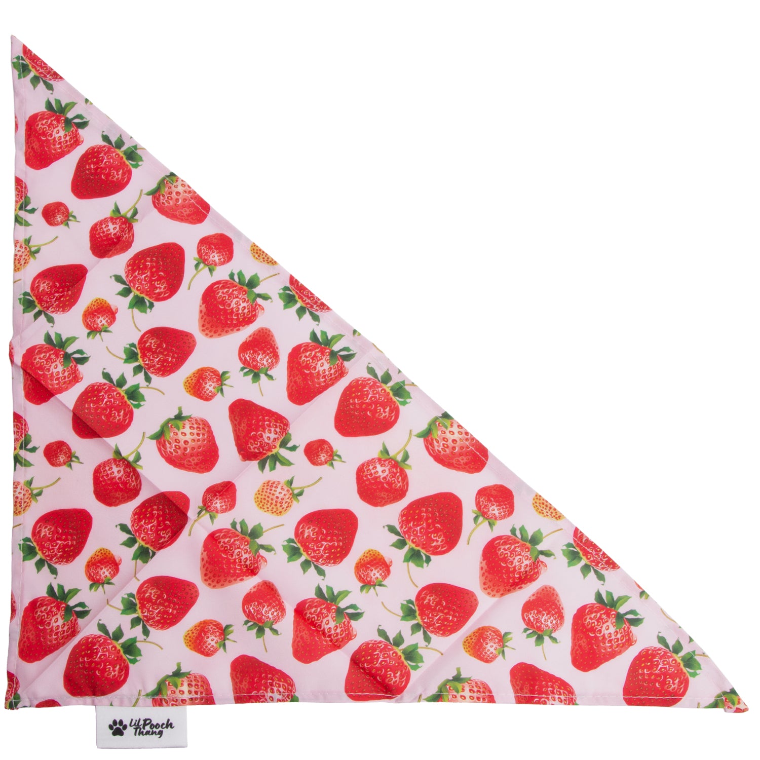 The Ultimate Summer Dog Bandana