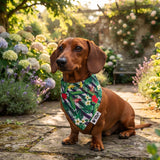 The Ultimate Summer Dog Bandana