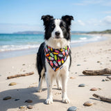 The Ultimate Summer Dog Bandana