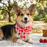 The Ultimate Summer Dog Bandana